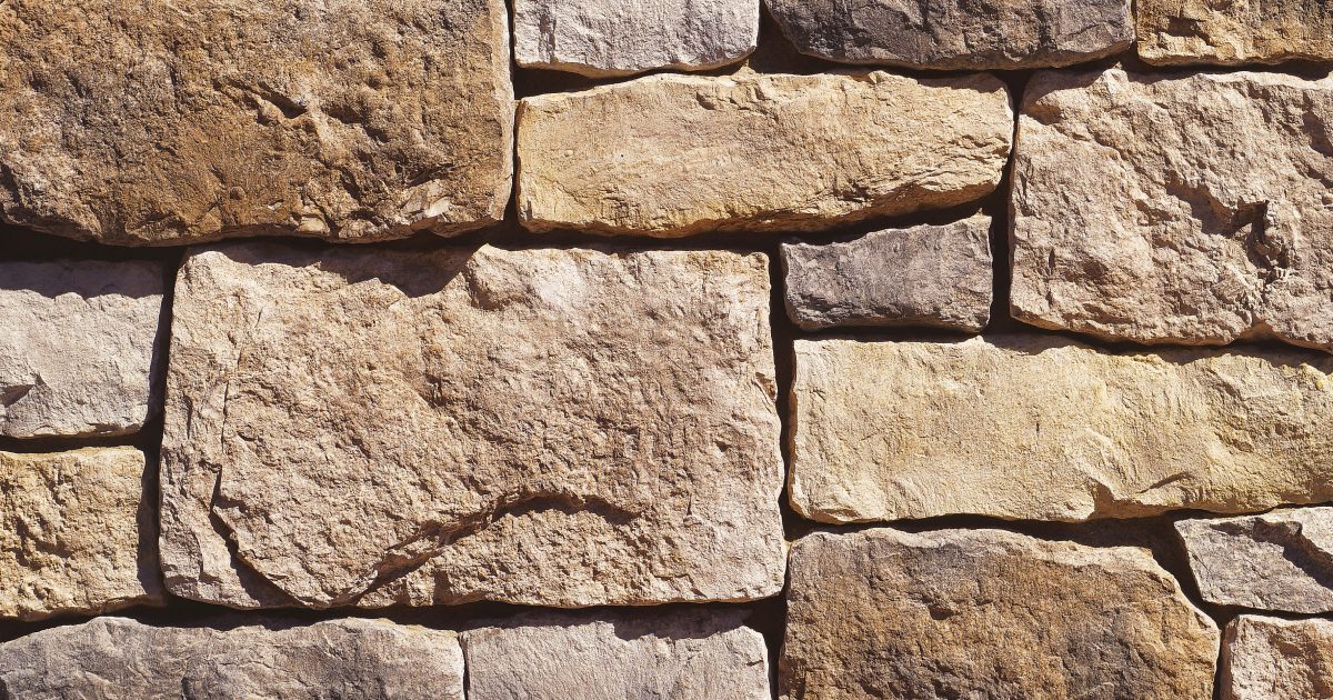 ES_Profile_RoughCut_Autumn-