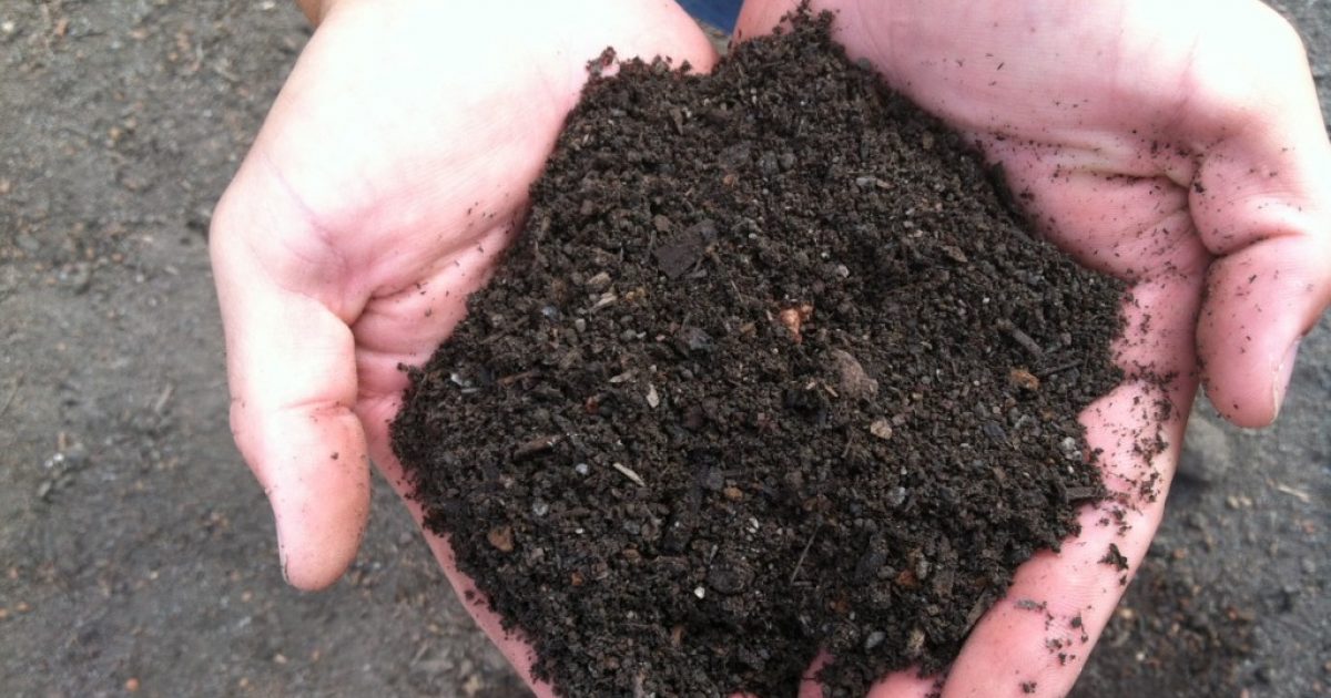 【送無】GREAT MIX CULTURE SOIL【S】15L 1mm-6mm SBI Materials | Planter's Mix